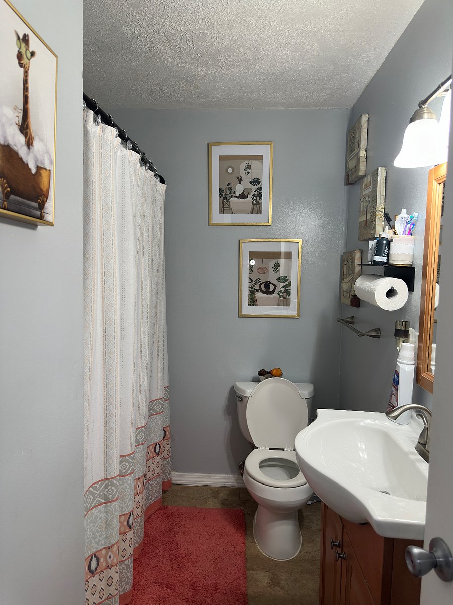 Furnished Finder property 916150_1 photo 3