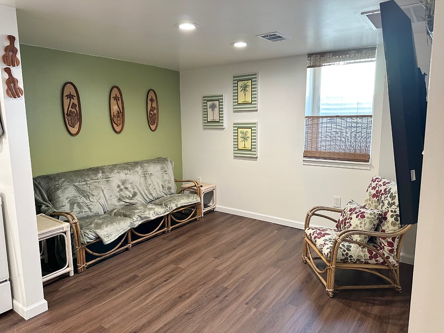 Living room with 65-inch wall mount TV, large egress window with top/down privacy blind.