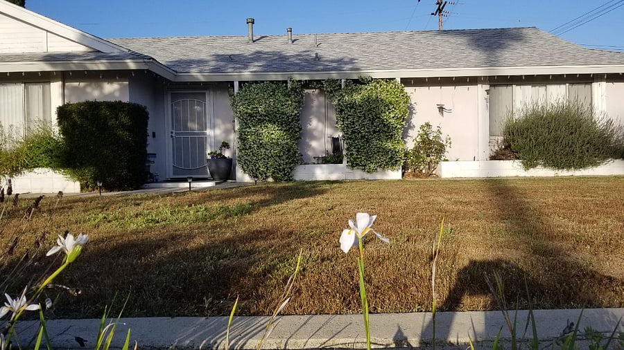 Front Yard