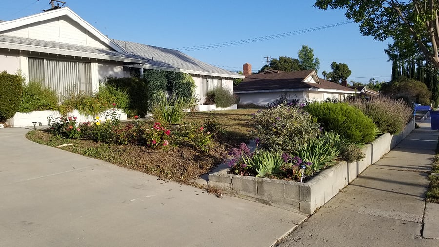 Front yard-Driveway/off-street parking