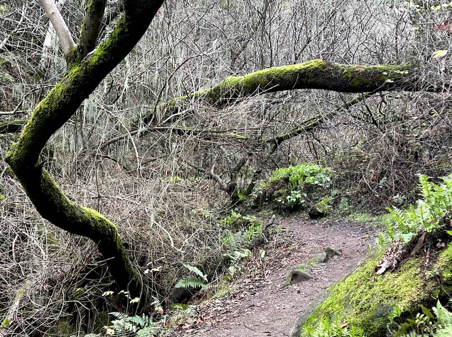 A favorite hike in Carmel Valley, about 25 minutes away.