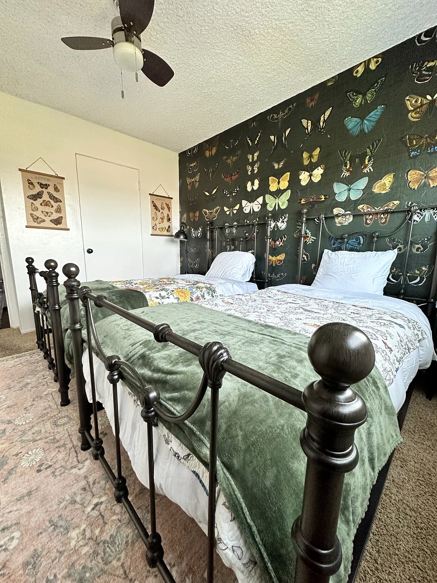 Furnished Finder property 916270_1 photo 14