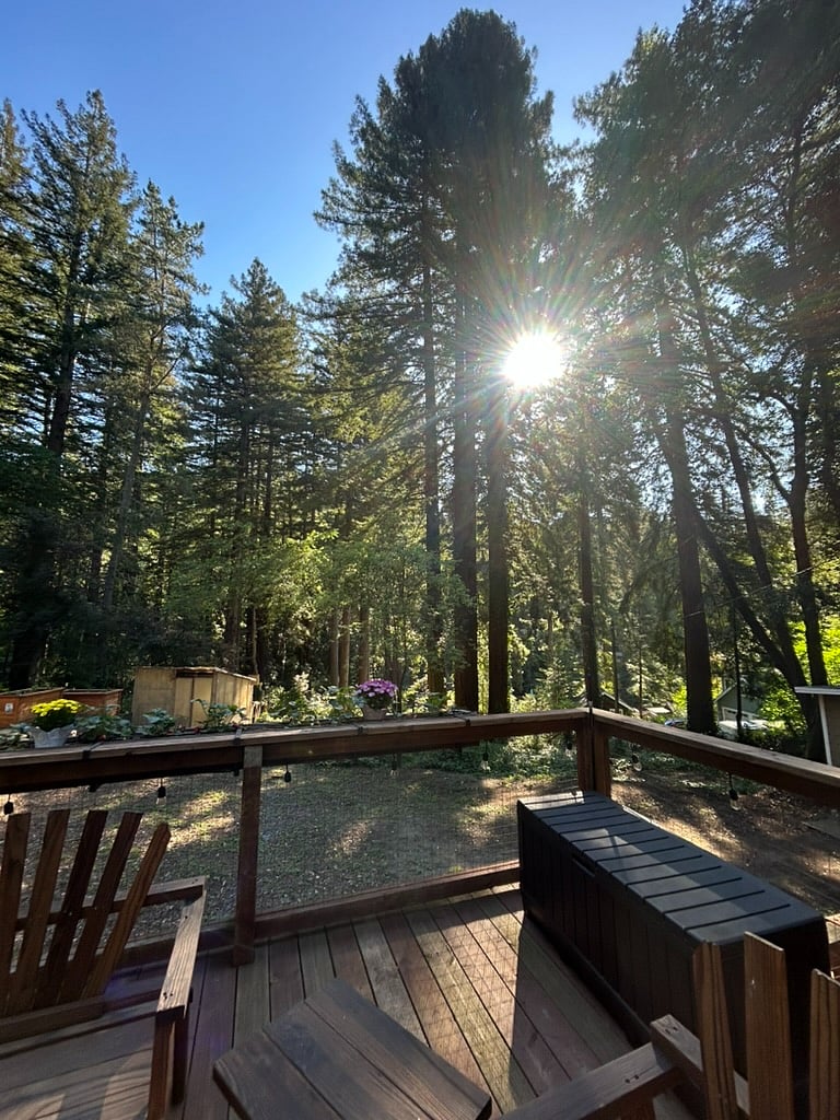The tiny is surrounded by beautiful redwoods that dapple the sun light in the morning and before dusk.