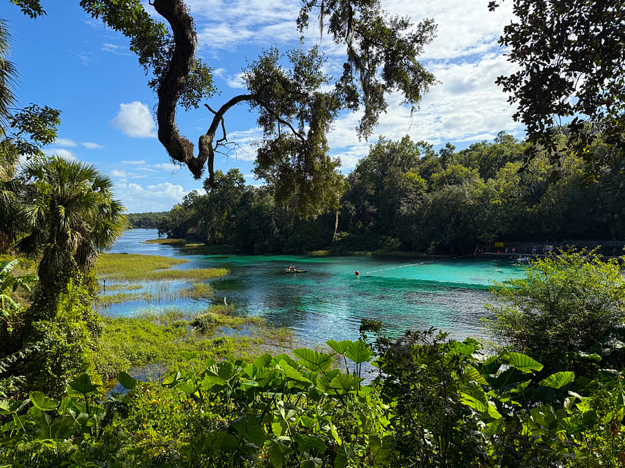 Rainbow Springs State Park