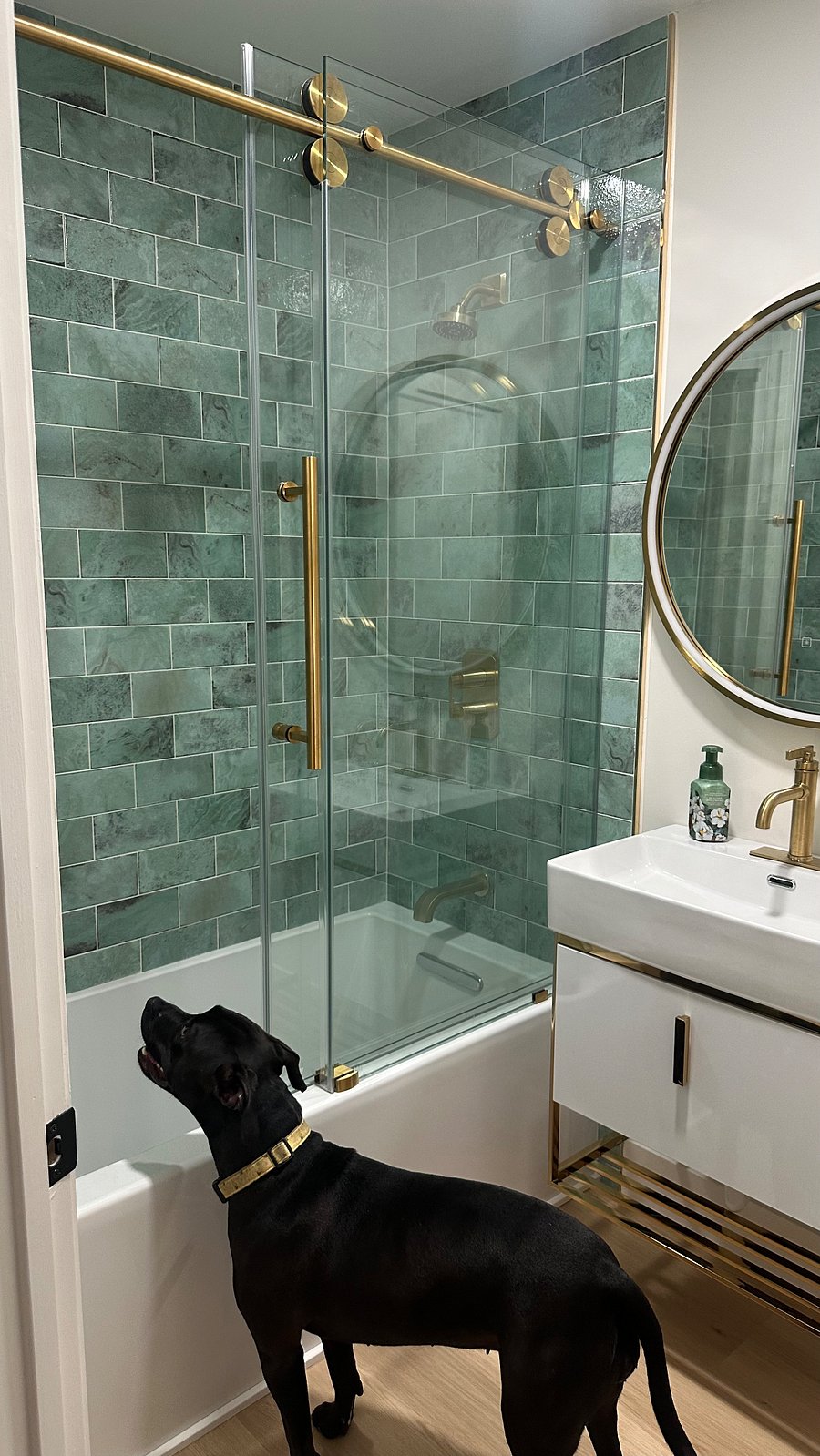 newly remodeled bathroom my big baby is checking out