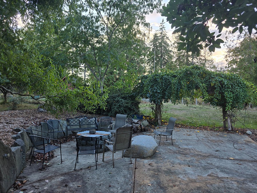 Firepit area for tenant use as well. Wood provided. Situated between backyard and blueberries/orchards/vineyard/chicken coop (no roosters!). Tenants welcome to help themselves in season.
