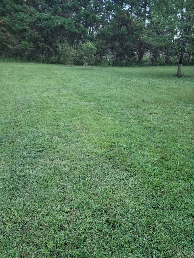 Expansive 15-acre mini-farm (no animals) surrounded by nature  perfect for morning coffee or peaceful evening walks.