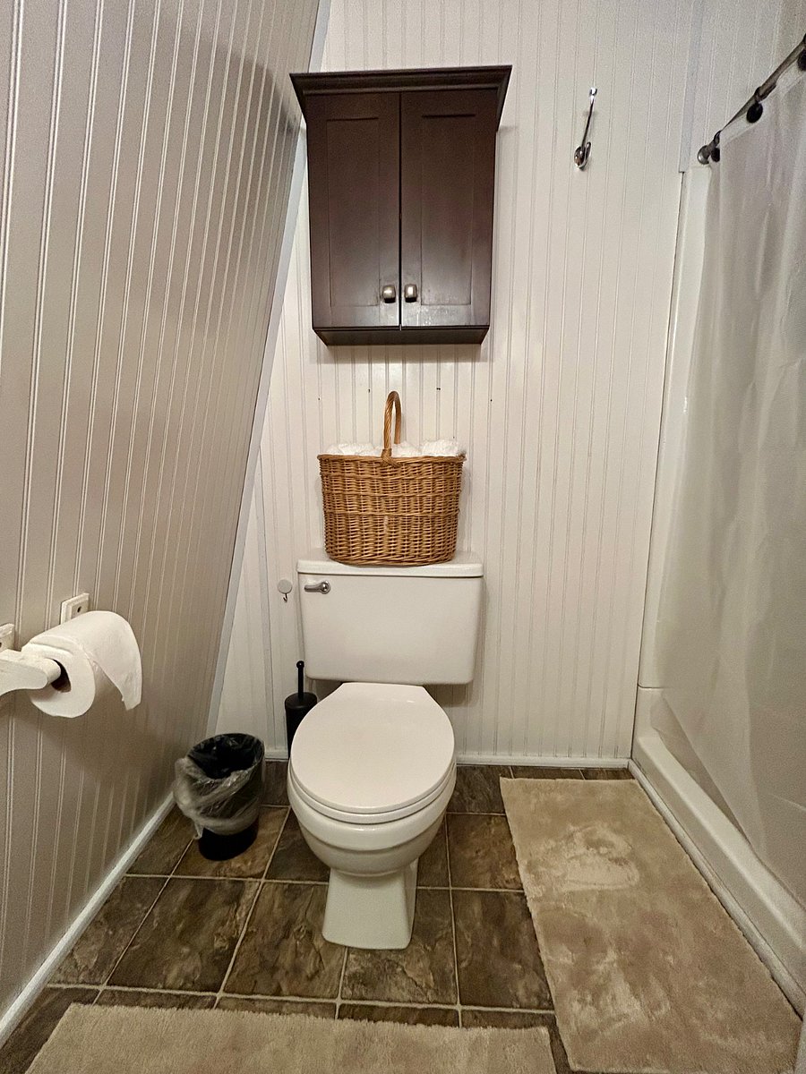 Bathroom: Toilet in front and shower to the right