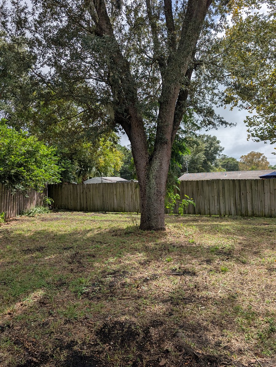 Furnished Finder property 916718_1 photo 23