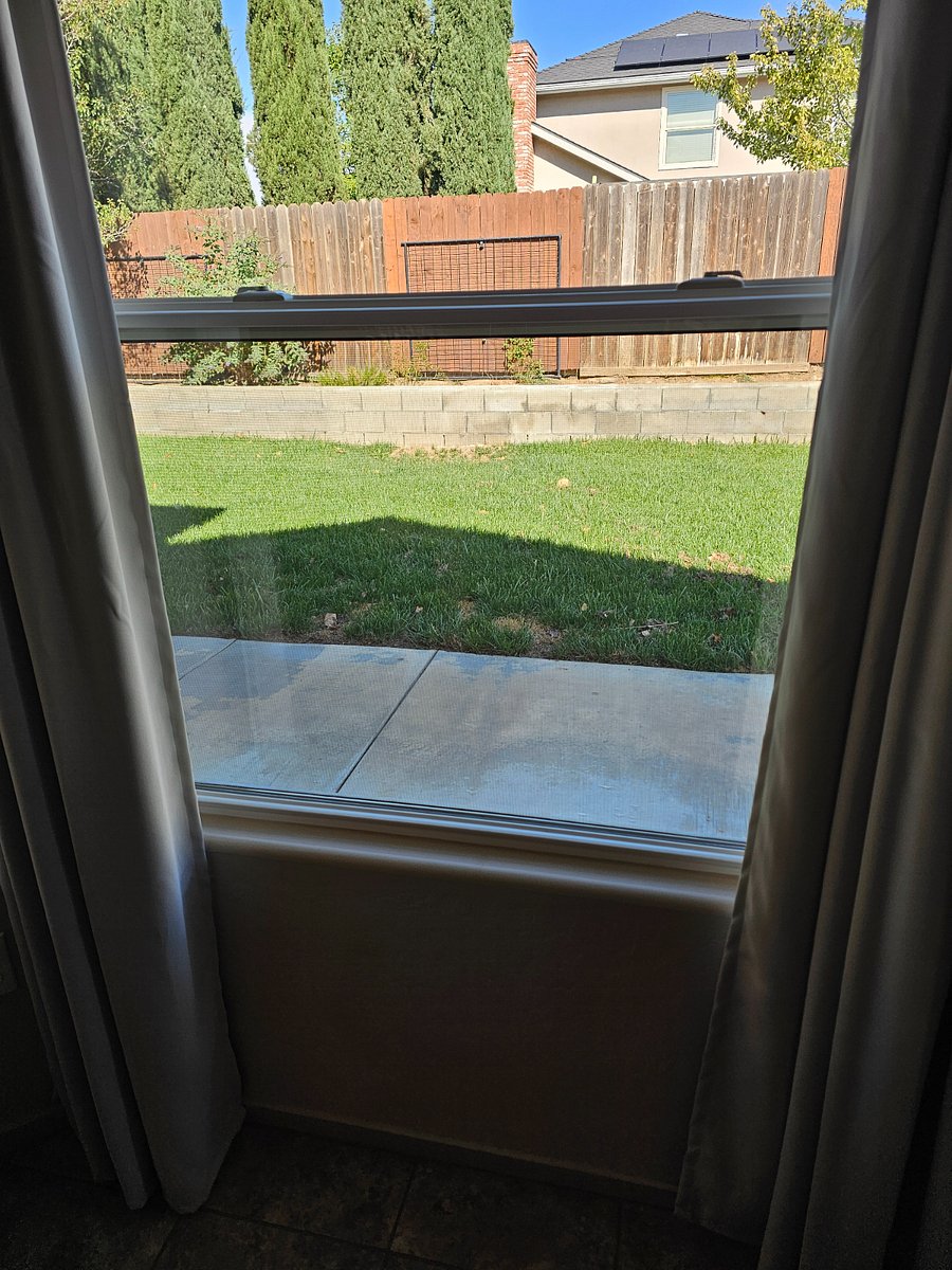 View of back yard from dining area (summer)