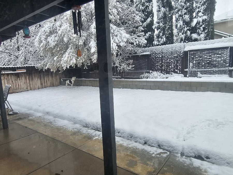 View of back patio from dining area after snow (typically melts within a day). Doggy not included.