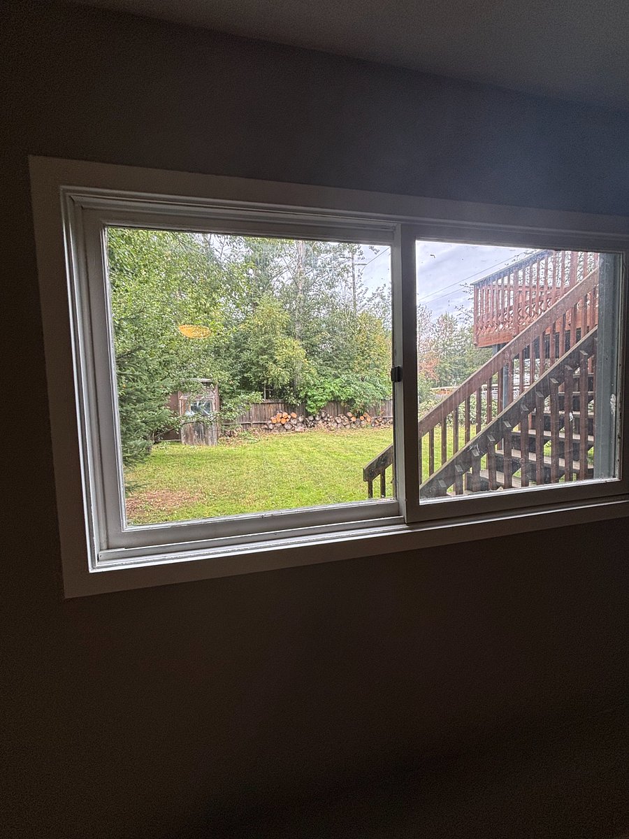 Yard view from bedroom three window.