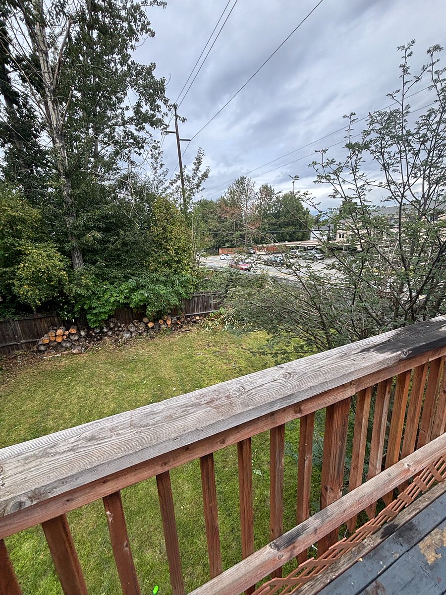 Backyard view from Lanai