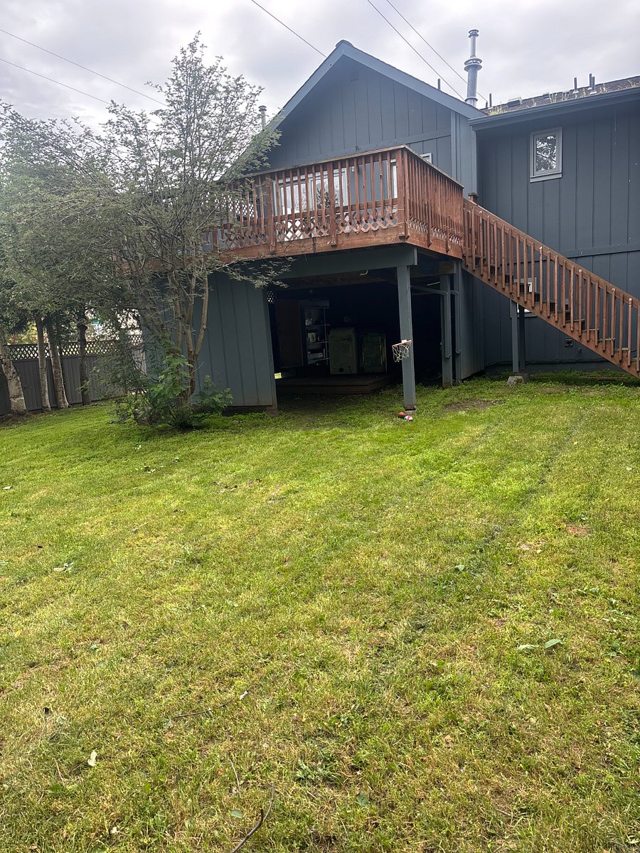View from back fence and under deck storage