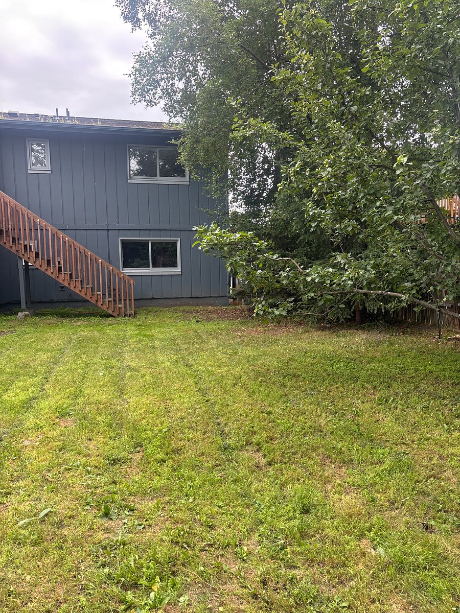 view fence looking toward back of house