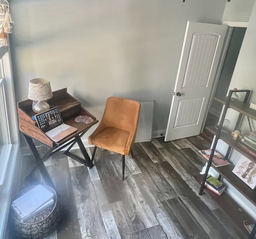 Office / second guest room with twin couch bed