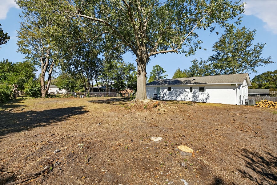 Backyard