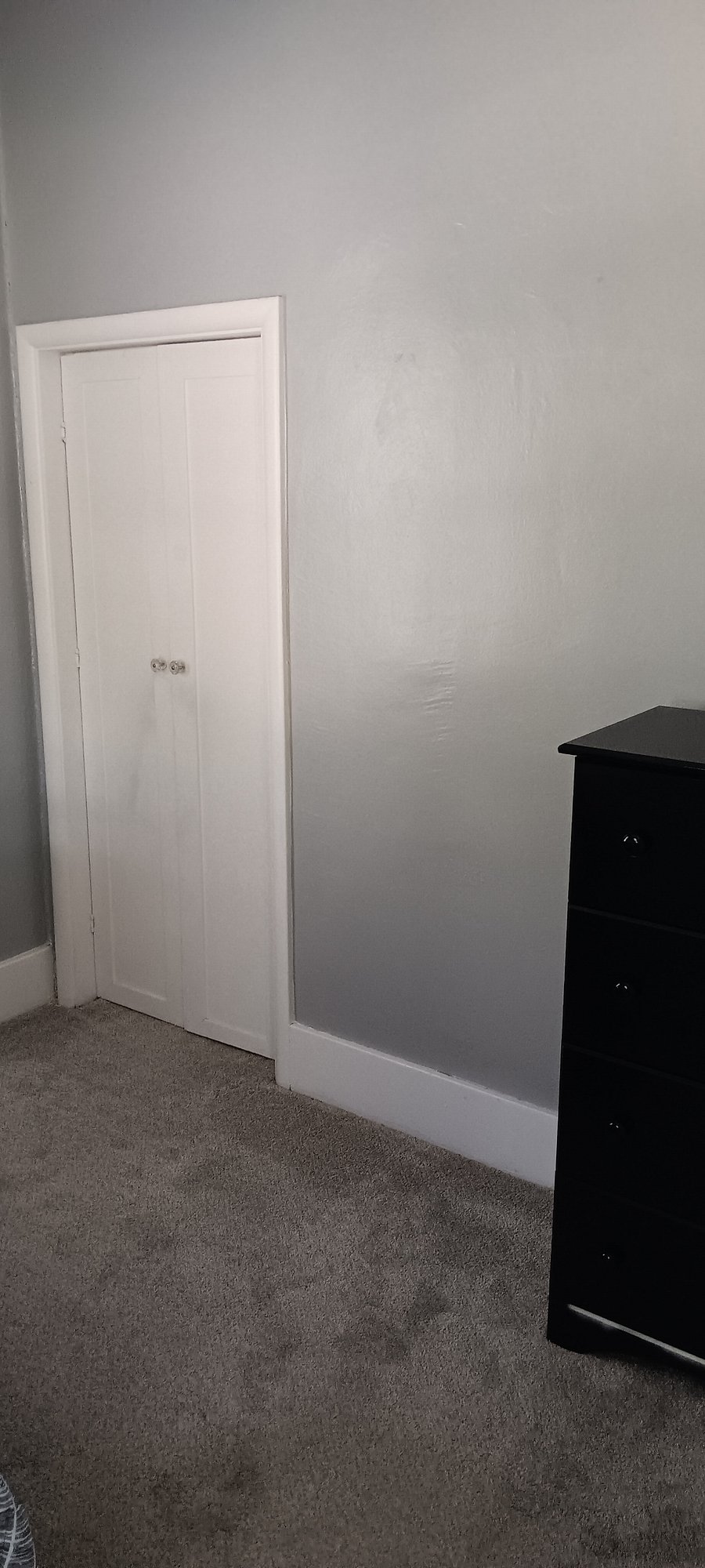 Bedroom closet and dresser