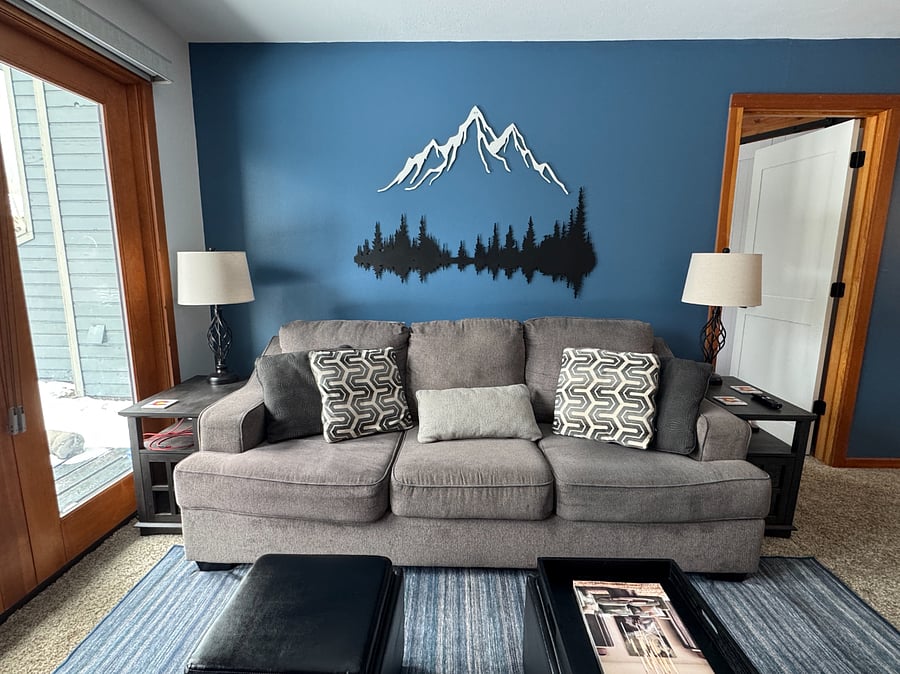 Living room, pull-out couch with queen size memory foam mattress.