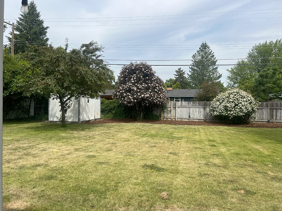Large fully-fenced yard, perfect for dogs