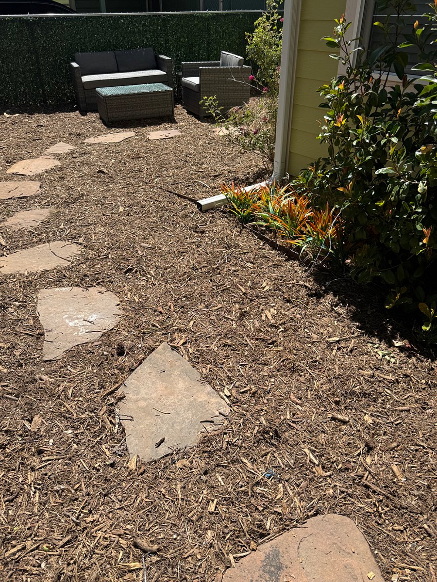 Front yard