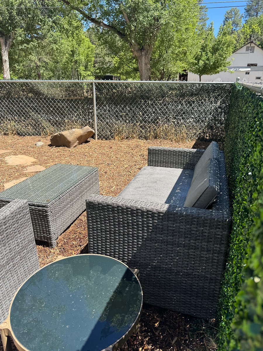 Sitting area in front yard looking to area where we have seen deer regularly