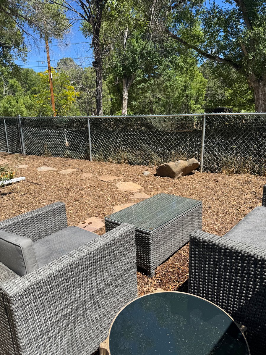 Front yard looking to street