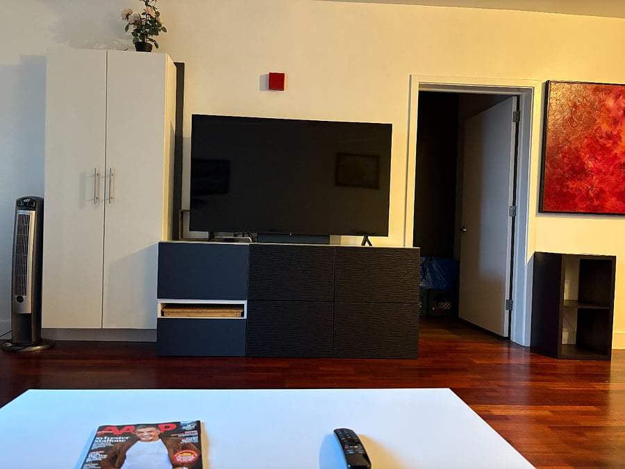 LG Smart TV w/Roku... and ports leftover for your devices.