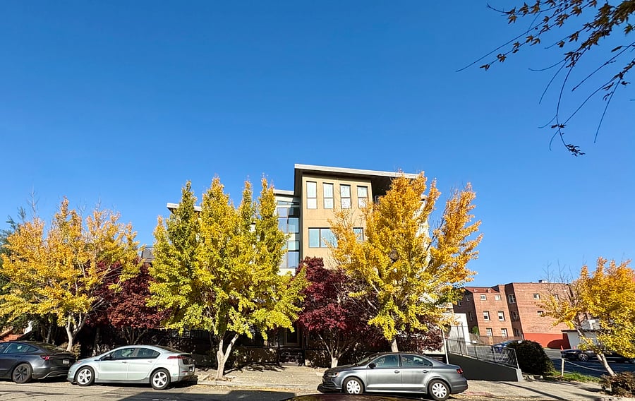 View of the building from across the street.