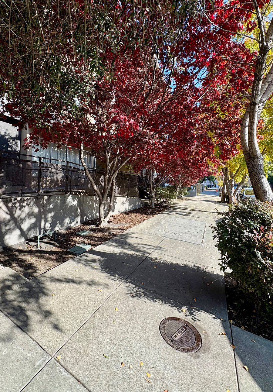 View looking east along the sidewalk towards the entrance and on towards Telegraph Avenue.