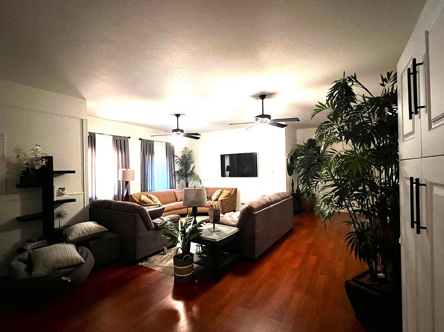 Furnished Finder property 917177_1 photo 10