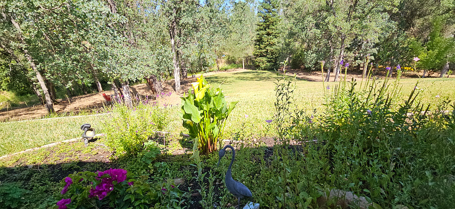 Furnished Finder property 917248_1 photo 7