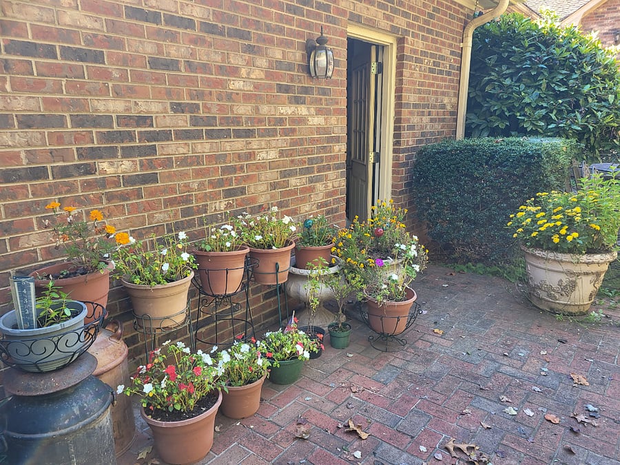 Outside Patio