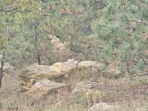 Natural outcroppings seen from property