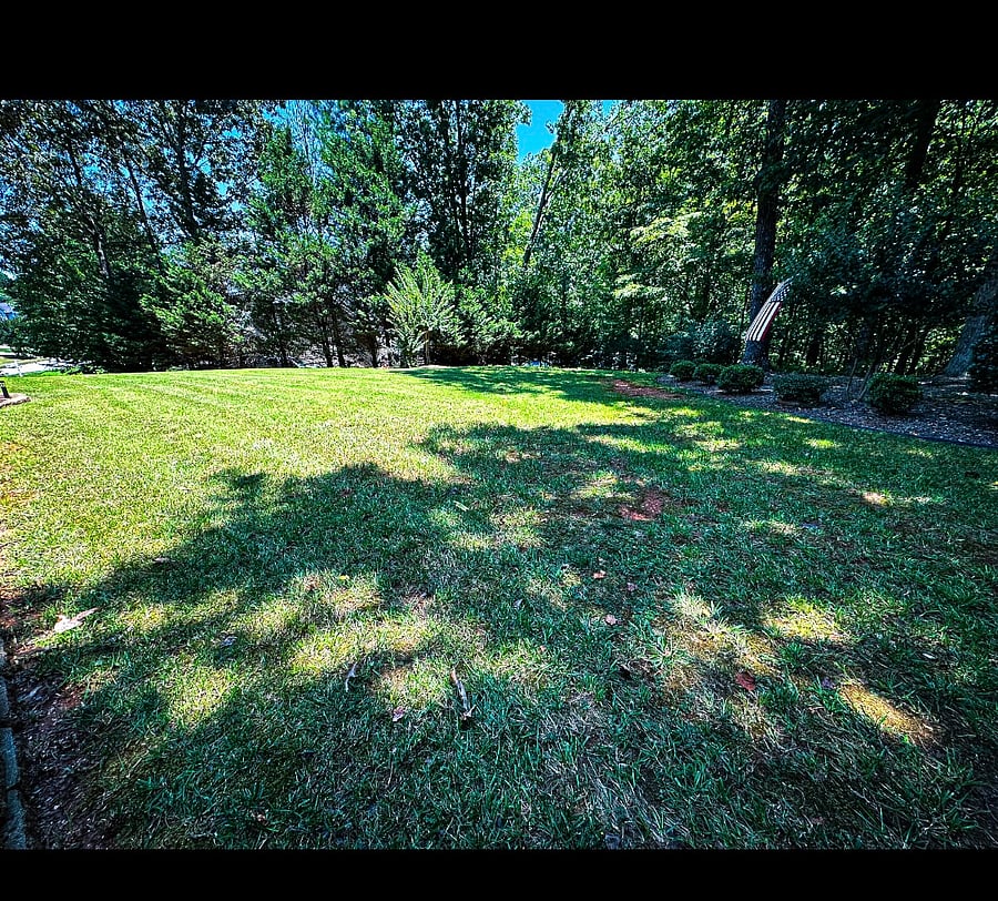 Furnished Finder property 917630_1 photo 14