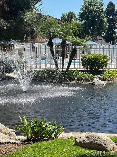 Water Feature