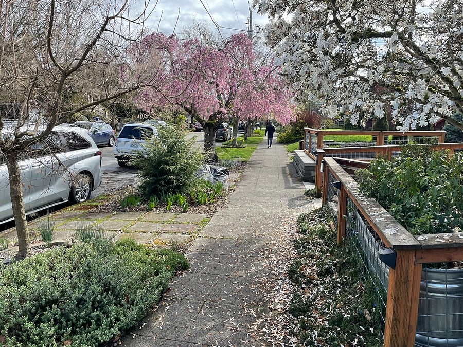 Neighborhood