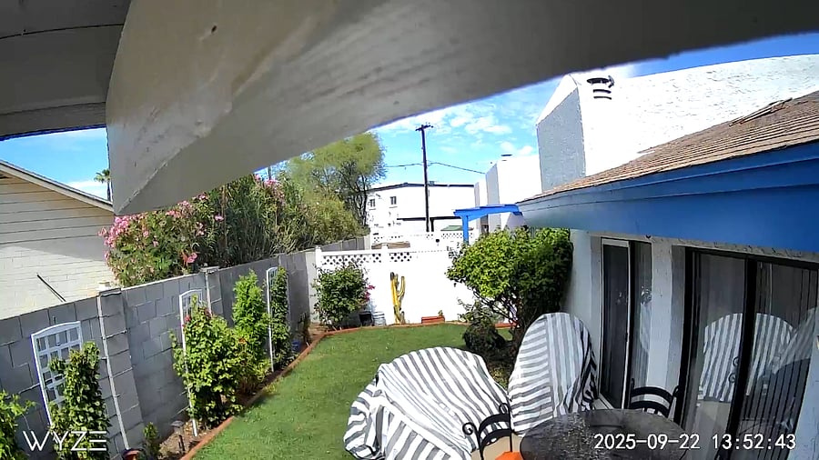 Yard view from security camera.