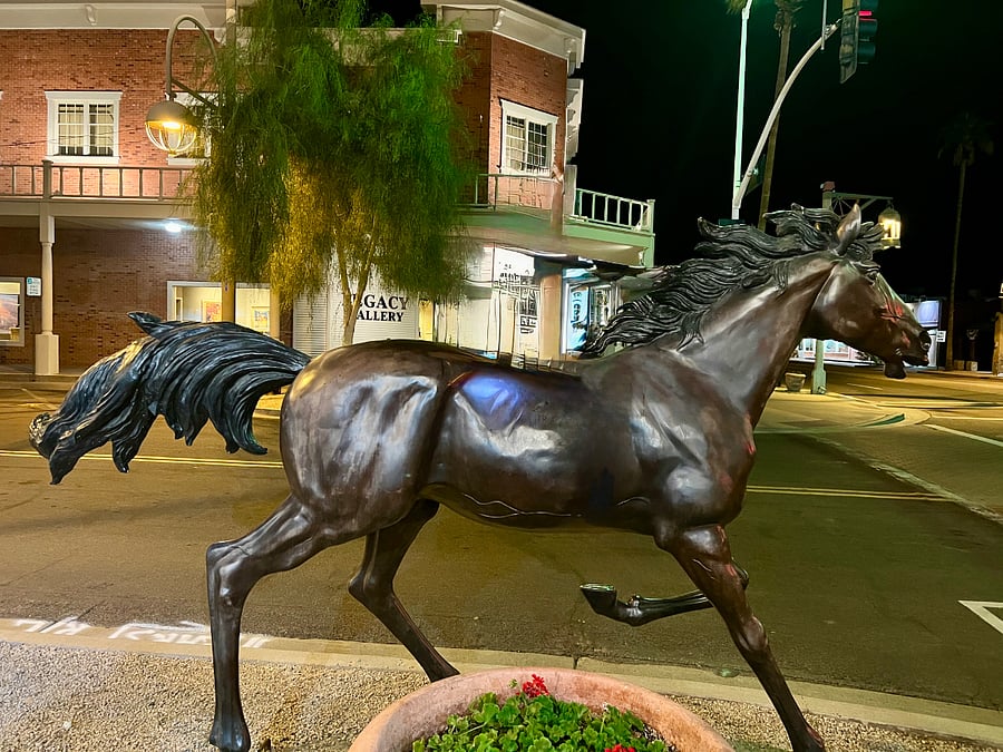 The horse that you need your photo taken on.
