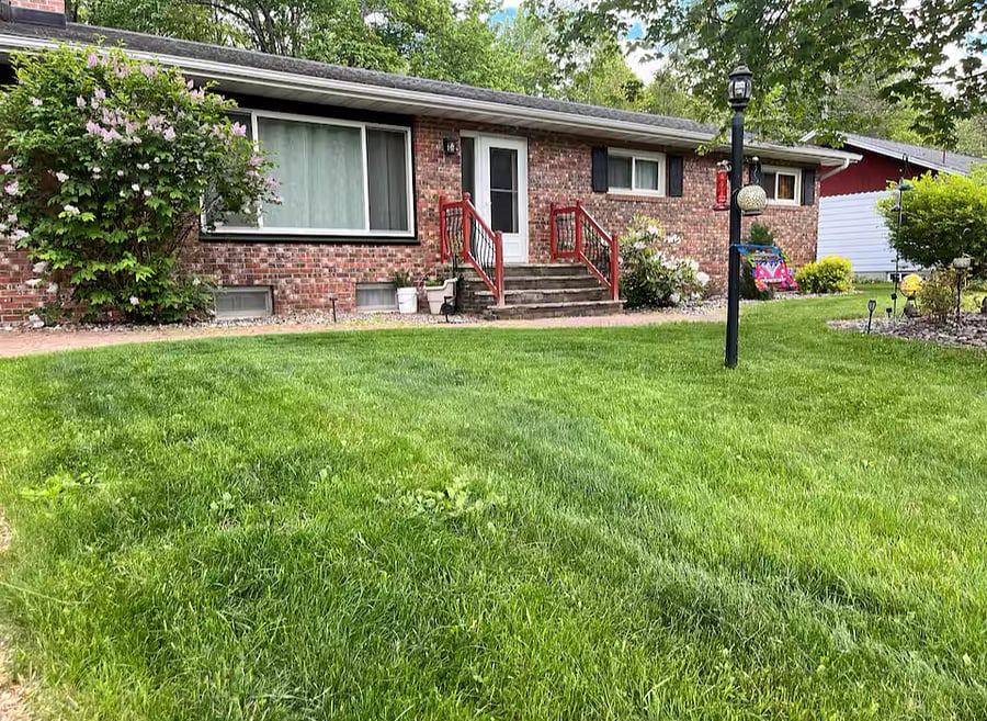 Frontyard