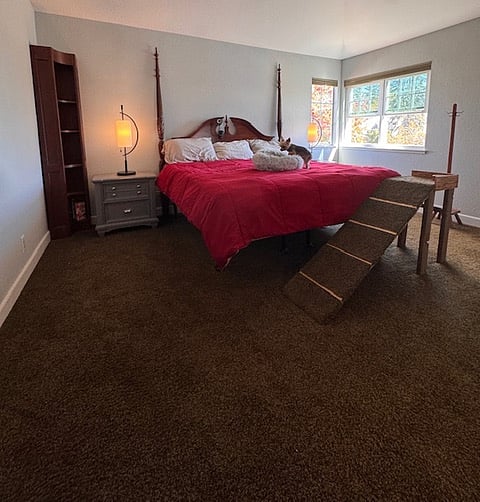 Furnished Finder property 918135_1 photo 20