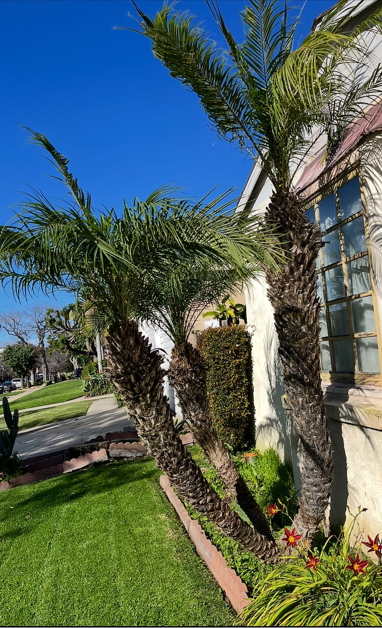 Exterior of house