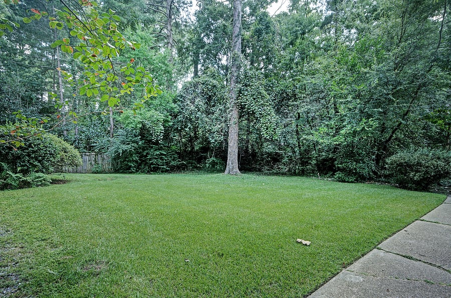 Furnished Finder property 918147_1 photo 16