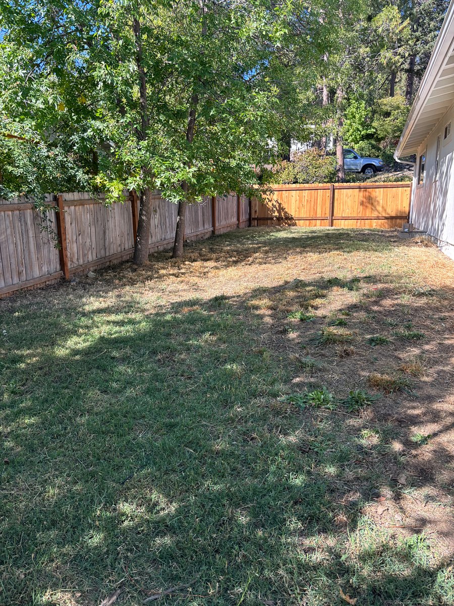 Furnished Finder property 918173_1 photo 17