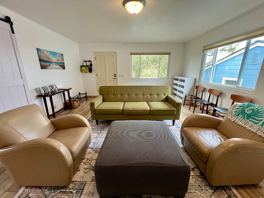 The living room is bright with two large windows.