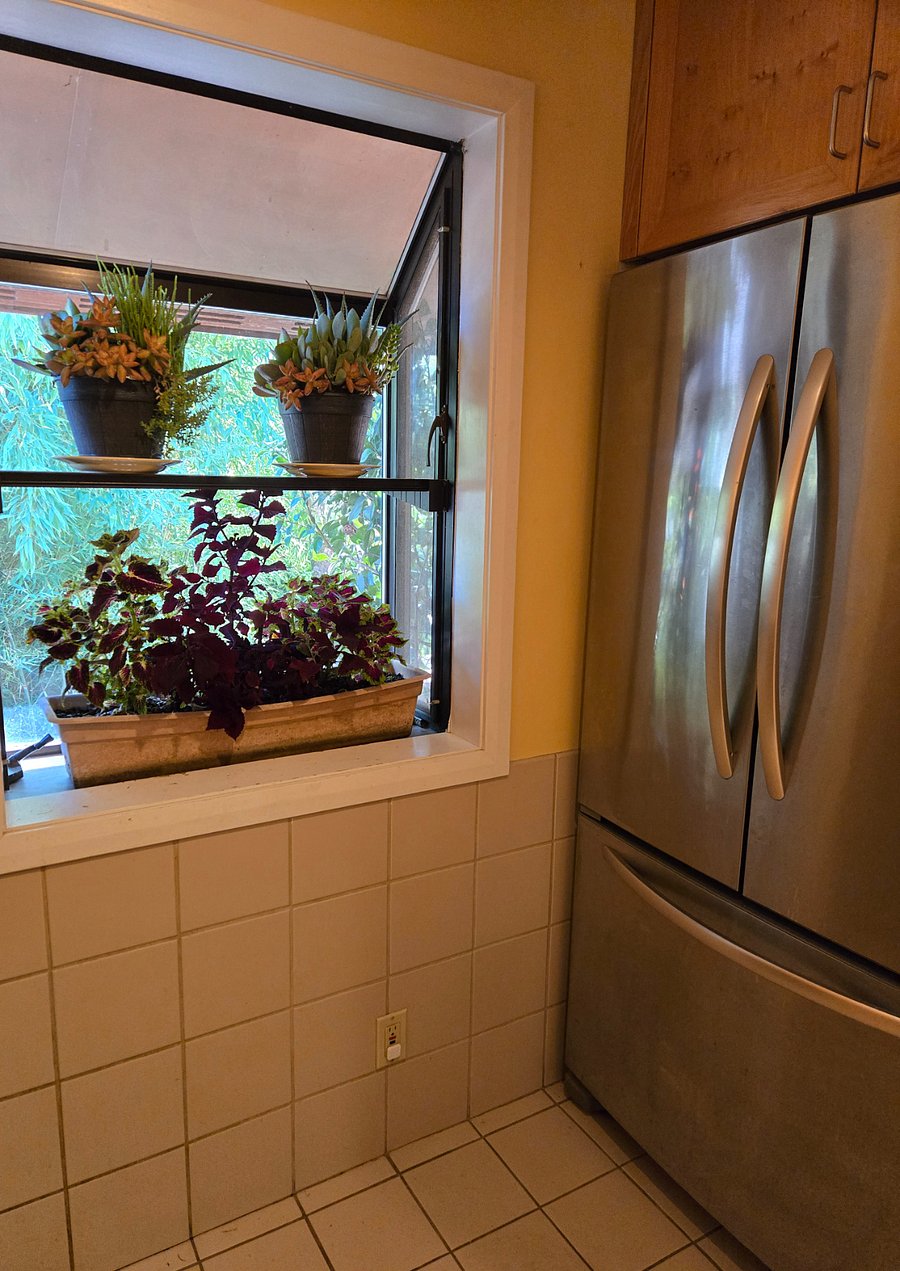 Full sized fridge and garden window out to the bamboo stand and main entrance.