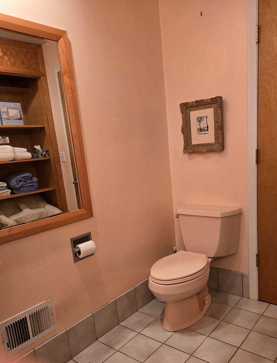 Plenty of room around the toilet to be comfortable, and storage closet visible in the mirror.