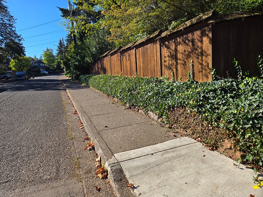 PLENTY of convenient street parking.