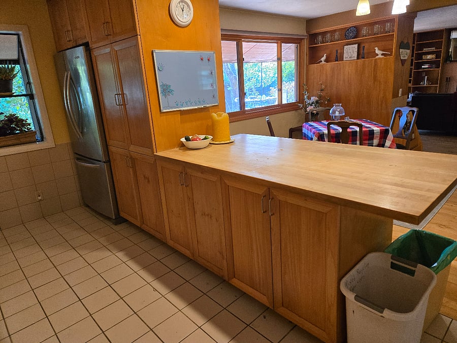 Open plan from kitchen through living... and garden out the windows.