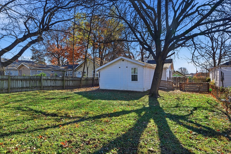 Back Yard